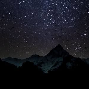 Meet your Posher, Bradley